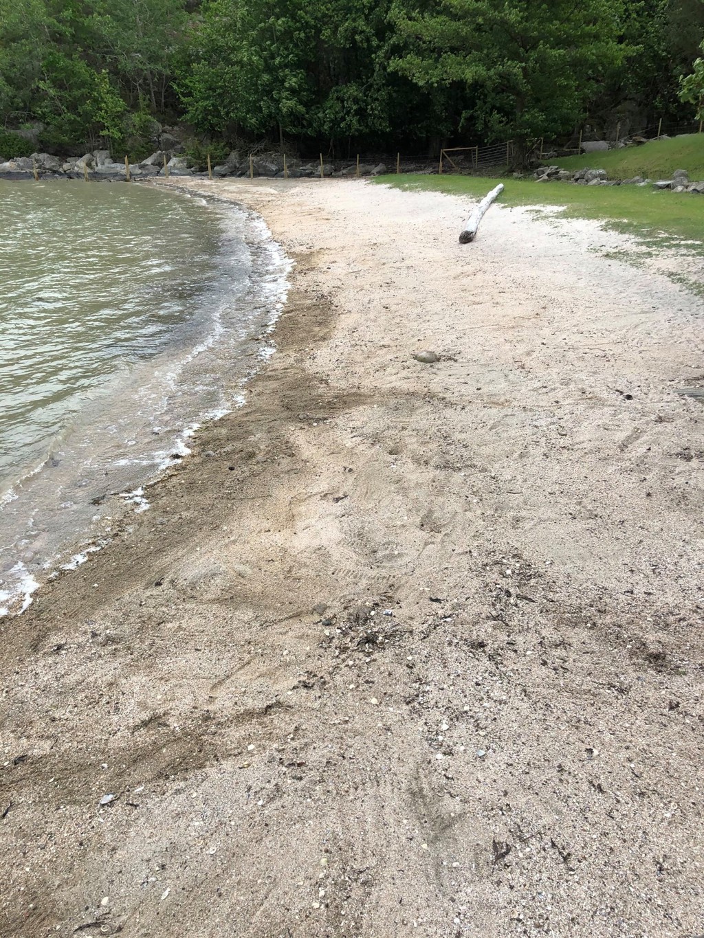 Strandrydding i Risør