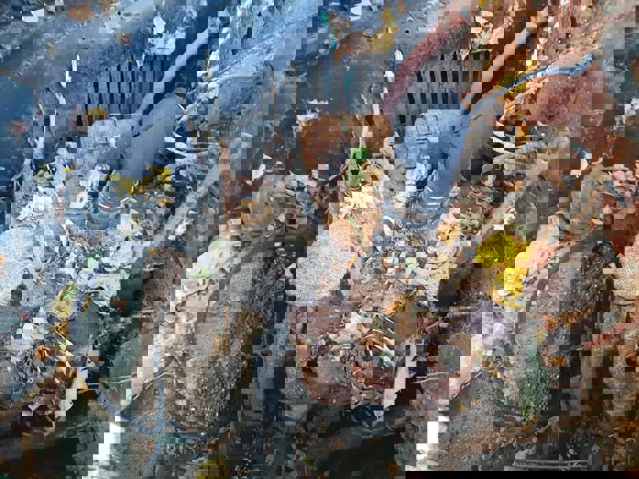 119593411_3154962204553501_6124106393388825699_n.jpg