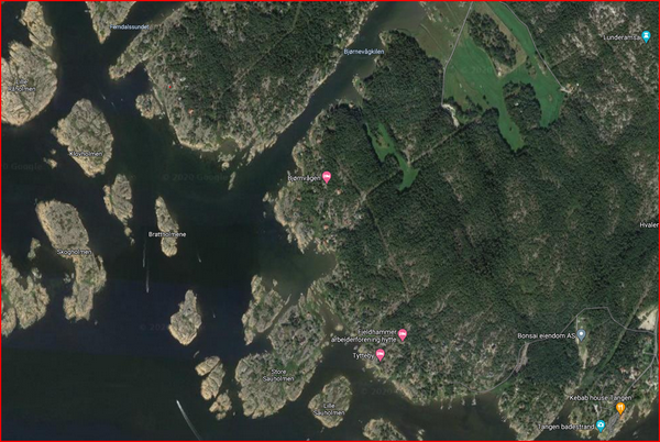 2020 Årsmøte Bjørnevågen Velforening på Zoom