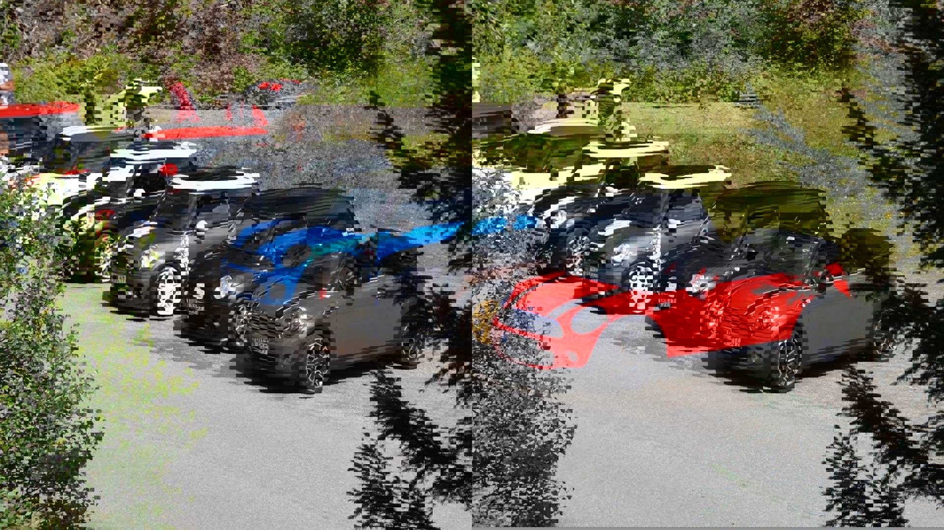12496000_764140417022718_4228217864463469407_o.jpg