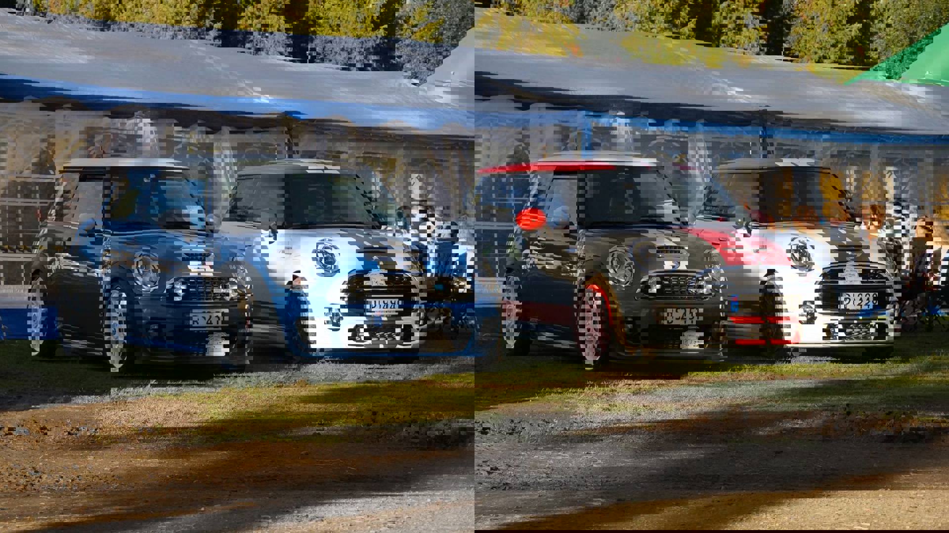 12496017_764140850356008_6343901420118652157_o.jpg