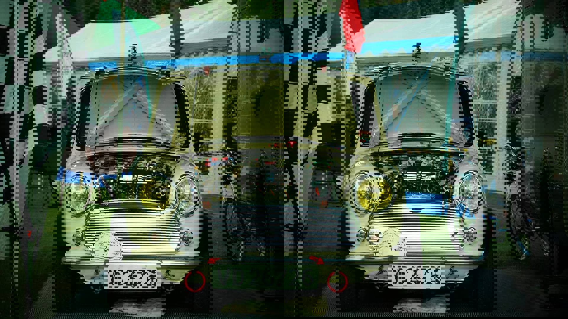 13653076_764140893689337_2060622053550239523_o.jpg