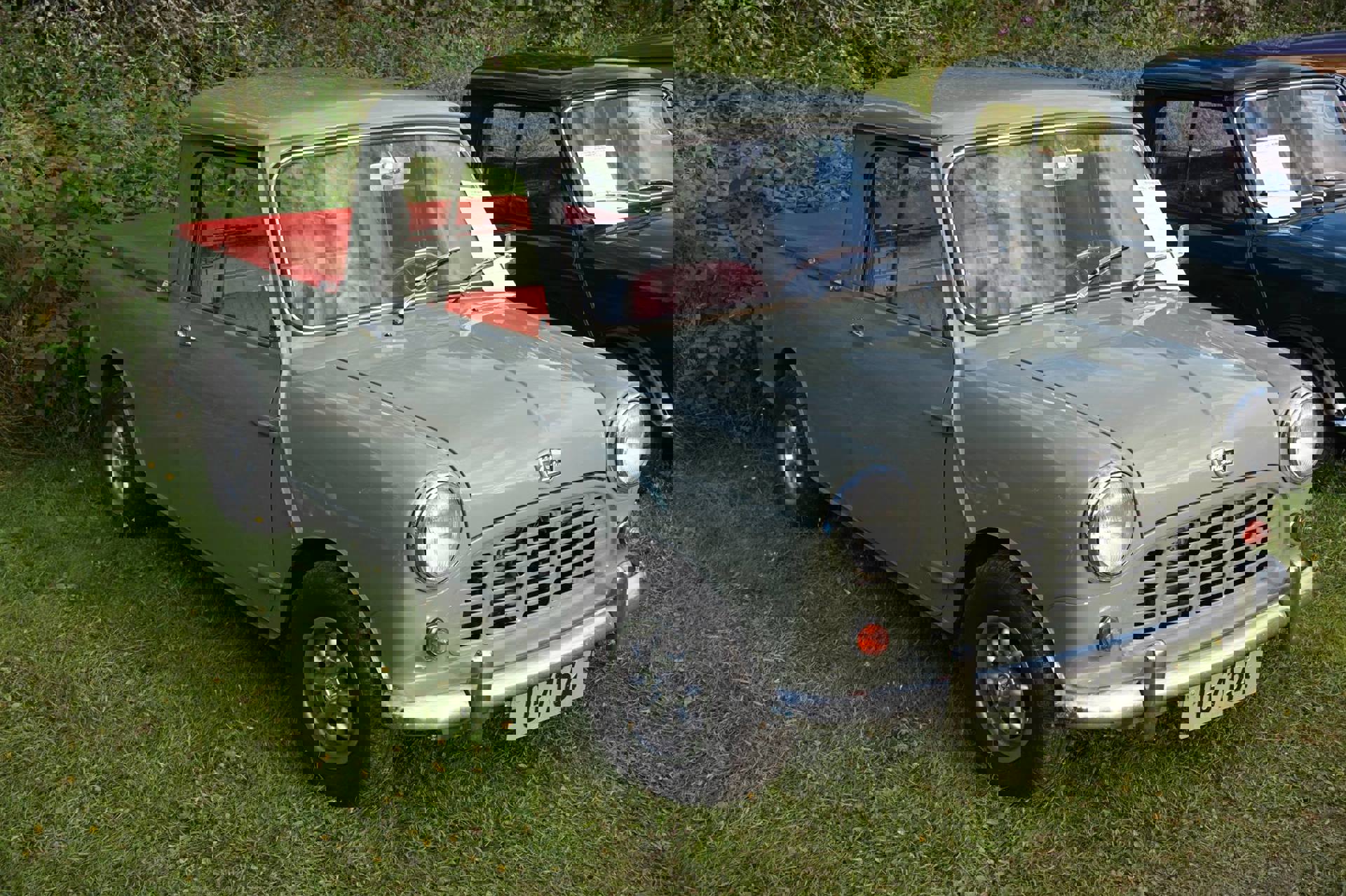 13668670_10153551937367581_7018586646075863953_o.j