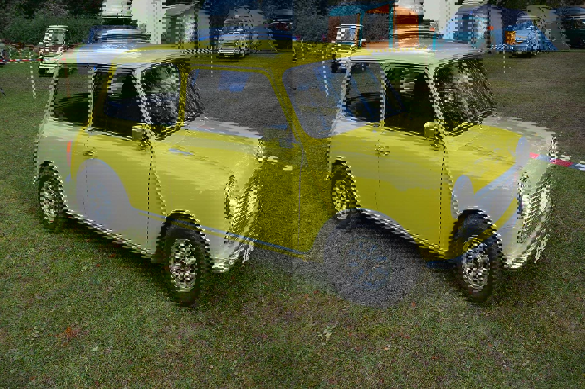13680383_10153551937007581_4644076883367545804_o.j