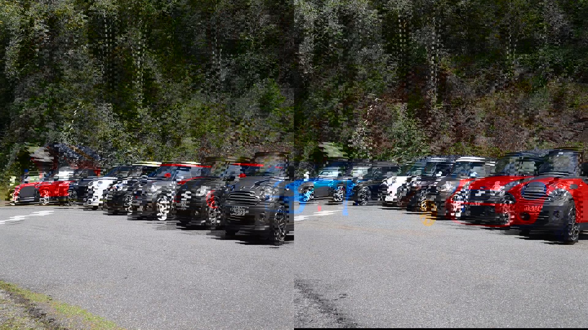 13698192_764140397022720_8633051905352008130_o.jpg