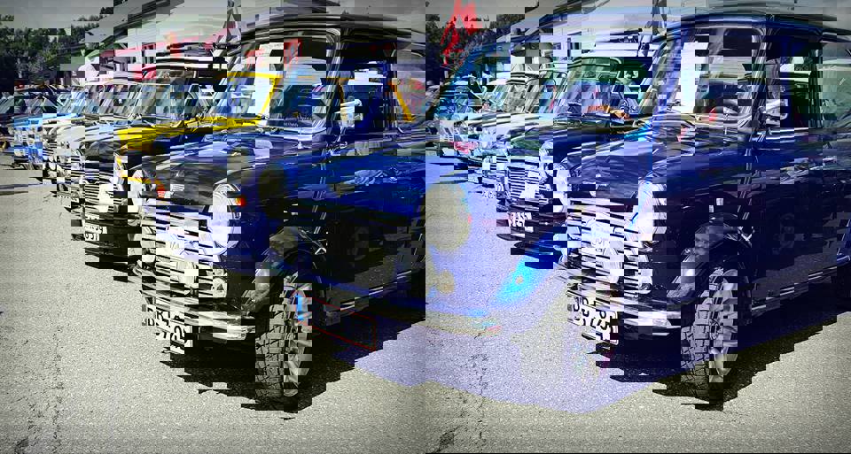 13880156_10157239760410054_9213812977723641141_n.j