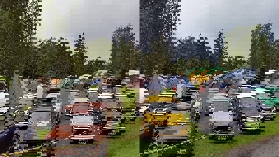 13880299_10153690781666641_6291619640845758271_n.j