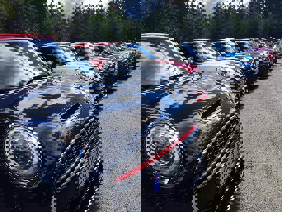 13900344_10157184410505285_6754598907599546387_n.j