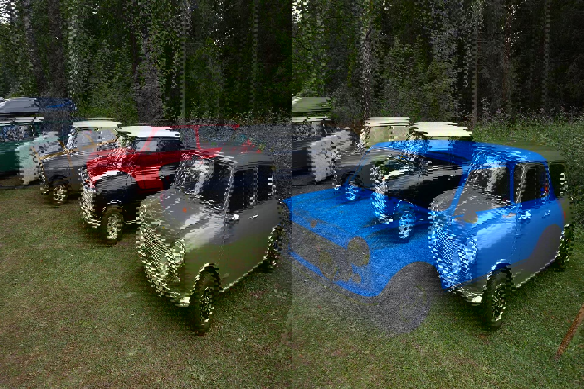 13909140_10153551936457581_1782876499274284484_o.j