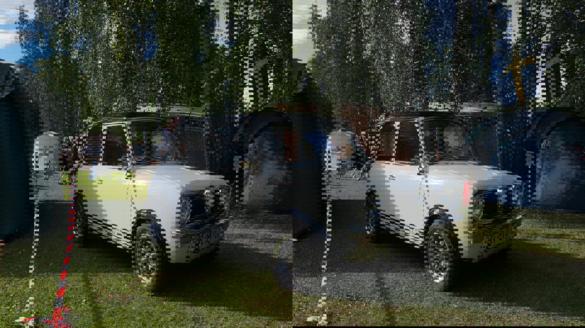 13909310_764140773689349_3360956493198072439_o.jpg