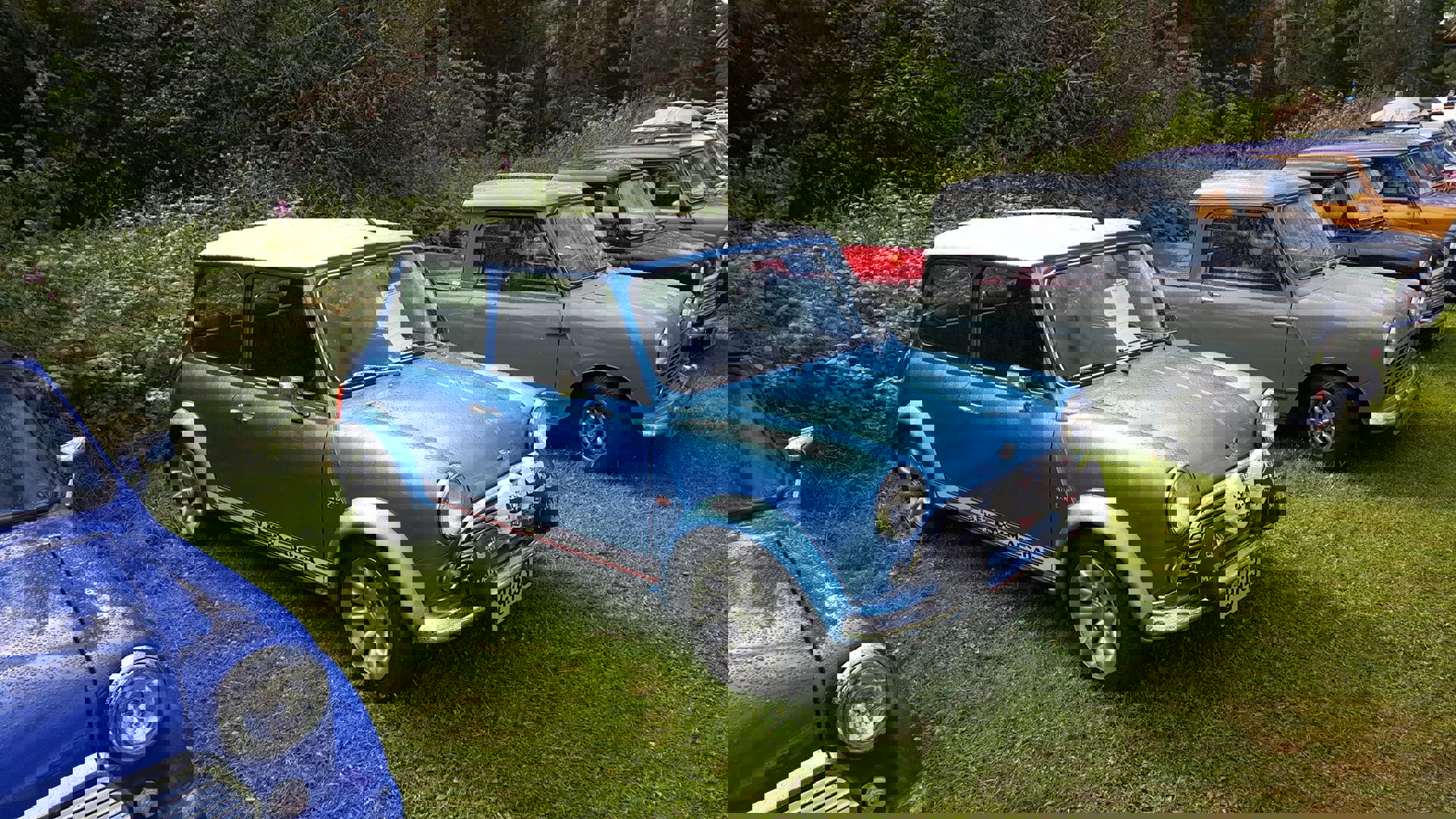 13913797_10153819657670840_8252489840093382904_o.j