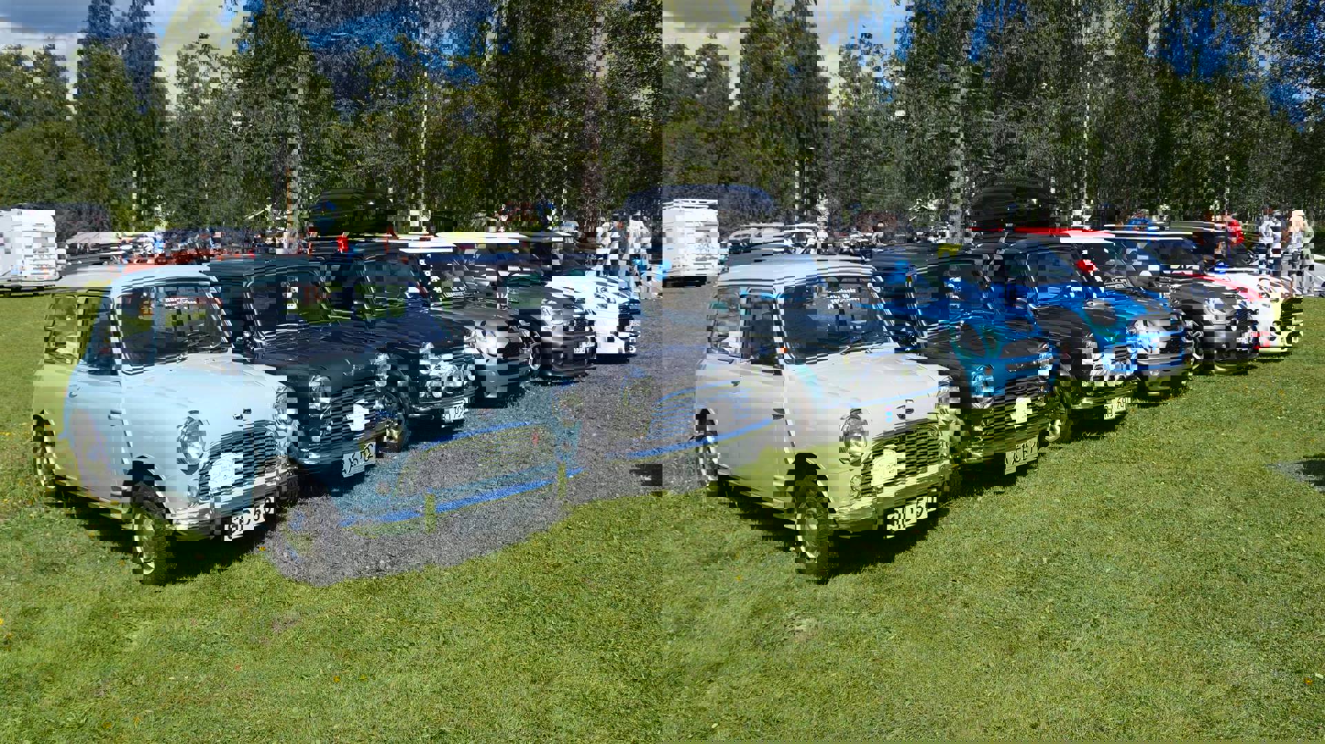 13920036_764141220355971_7366908265351249340_o.jpg
