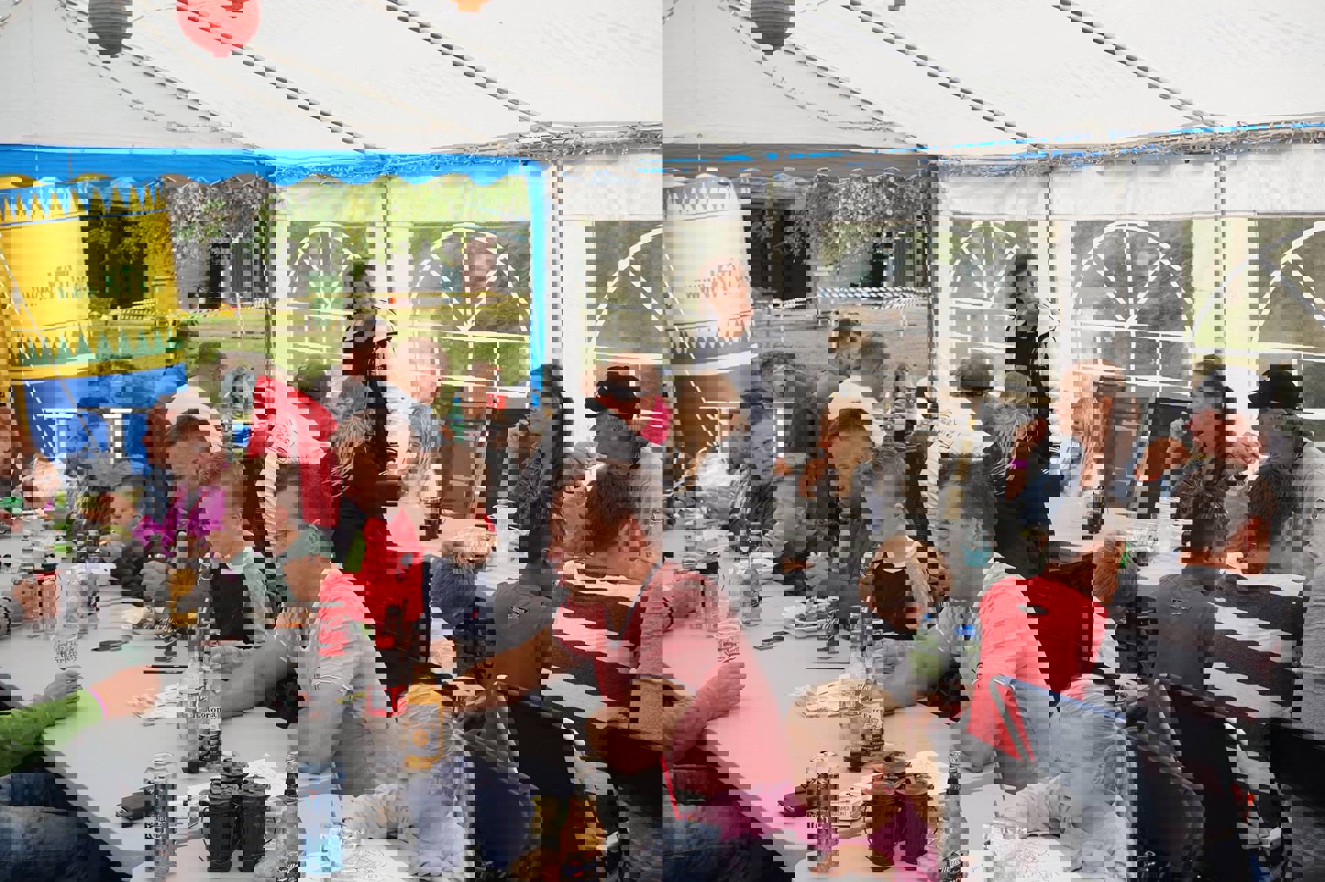 13920171_10153551937497581_348790221143126048_o.jp