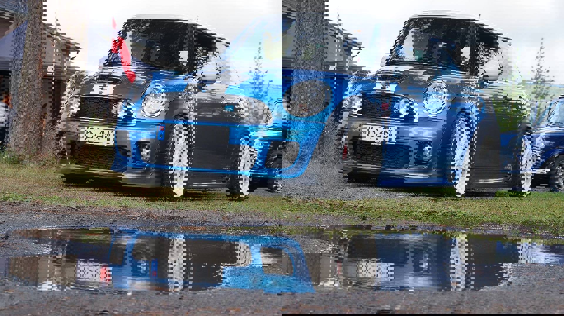 13920438_764139903689436_5895318859557334093_o.jpg