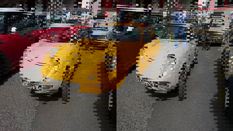 13925080_10153945409988871_2019458447598506203_n.j