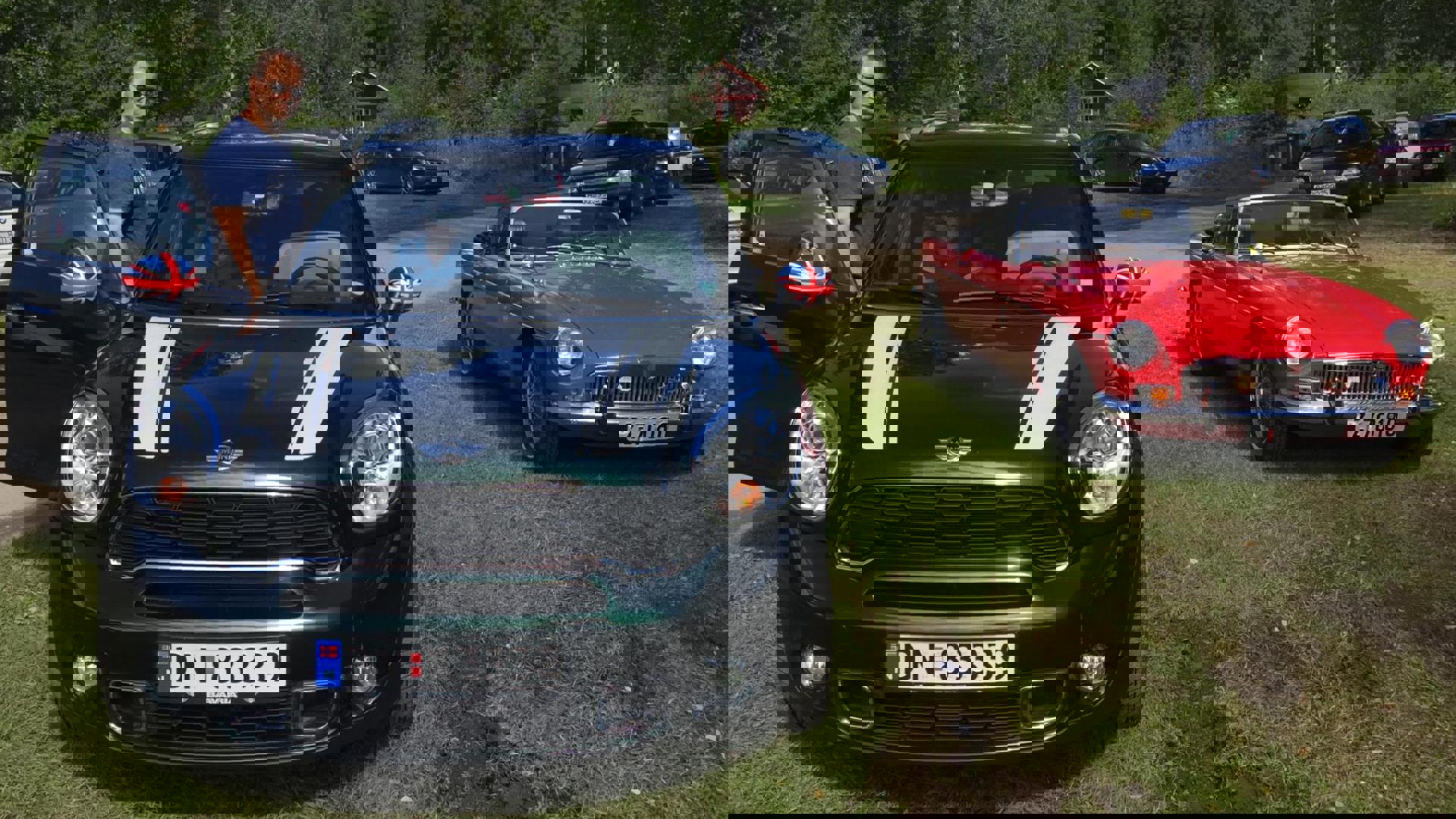 13925537_175005439585977_6882271285465152727_o.jpg