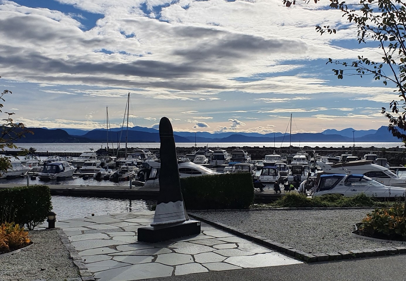 20200926_105915.jpg