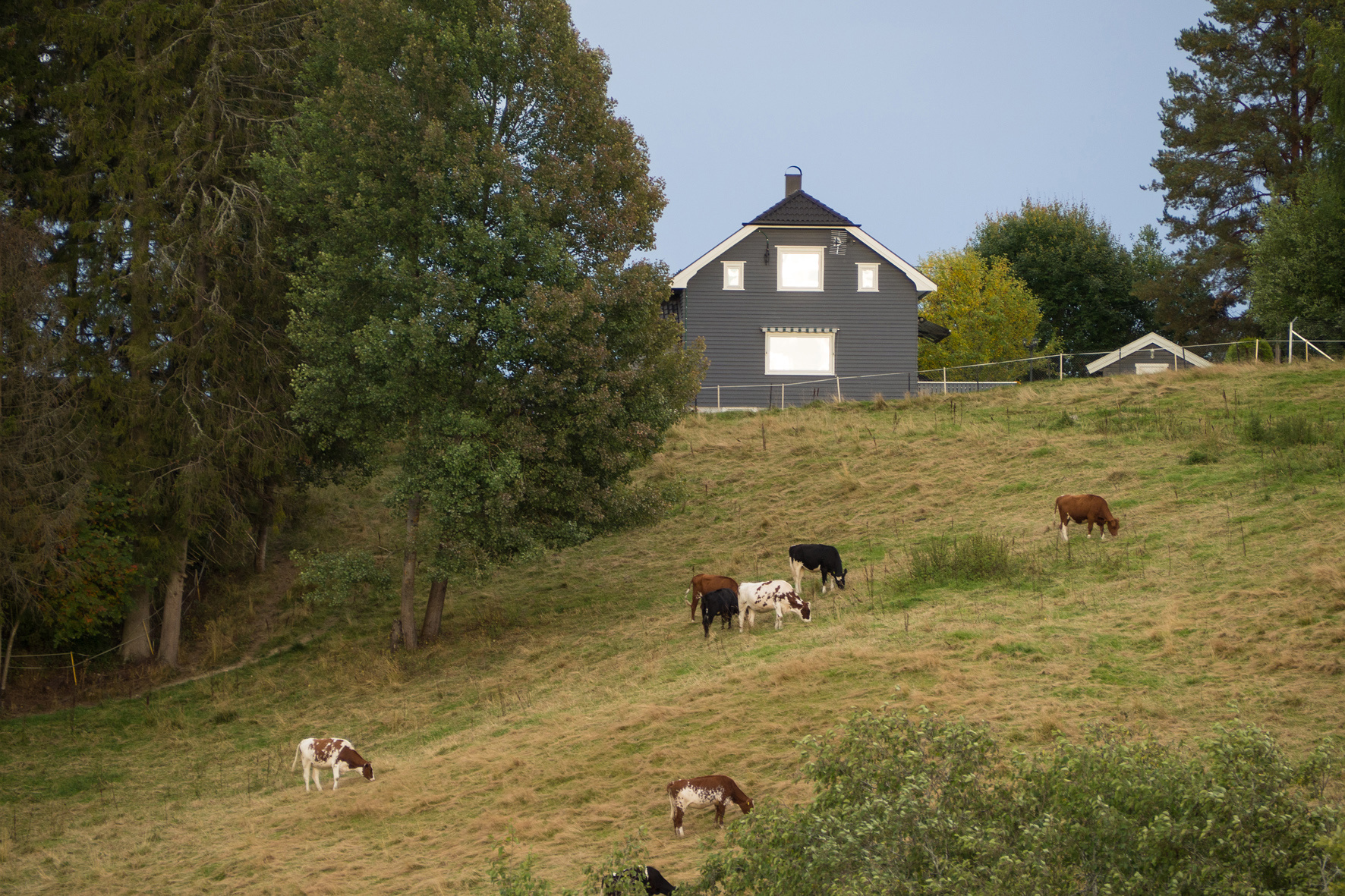 20200908-0206a.jpg