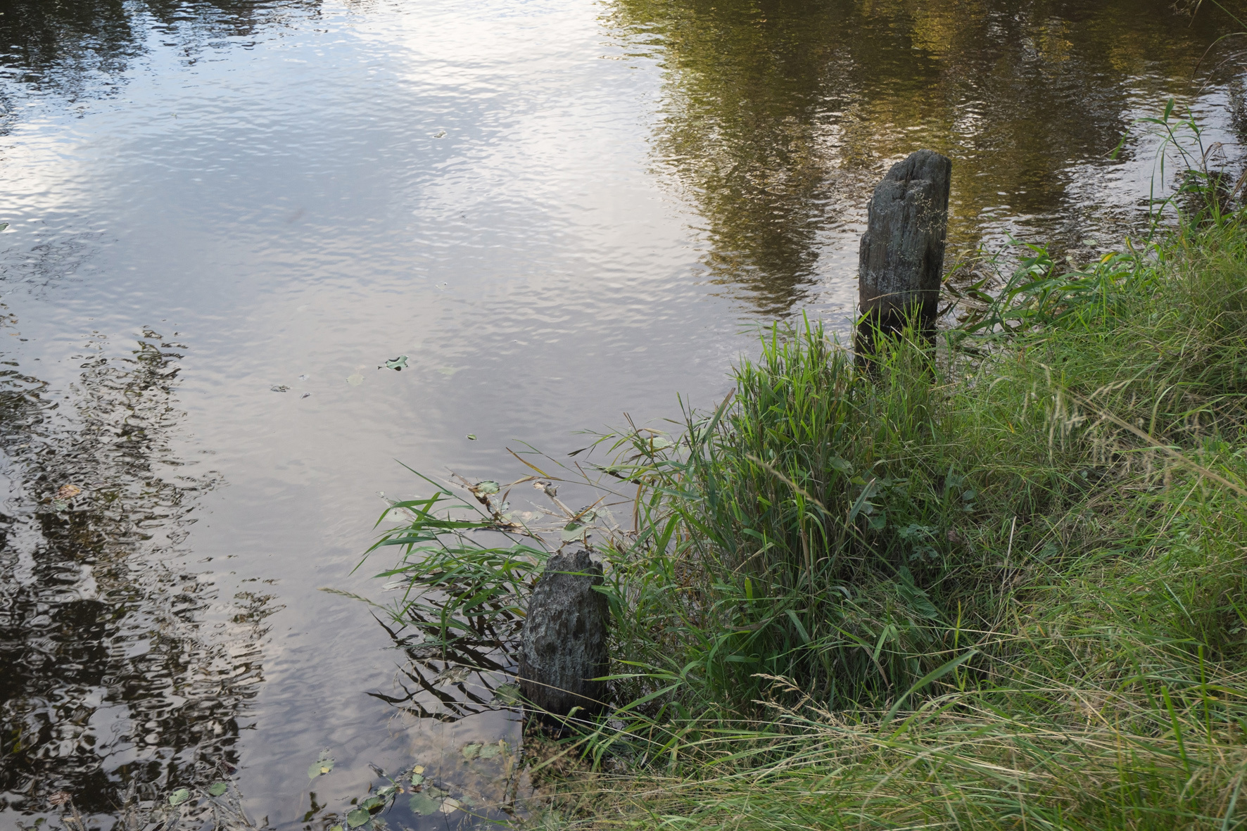 20200908-0229a.jpg