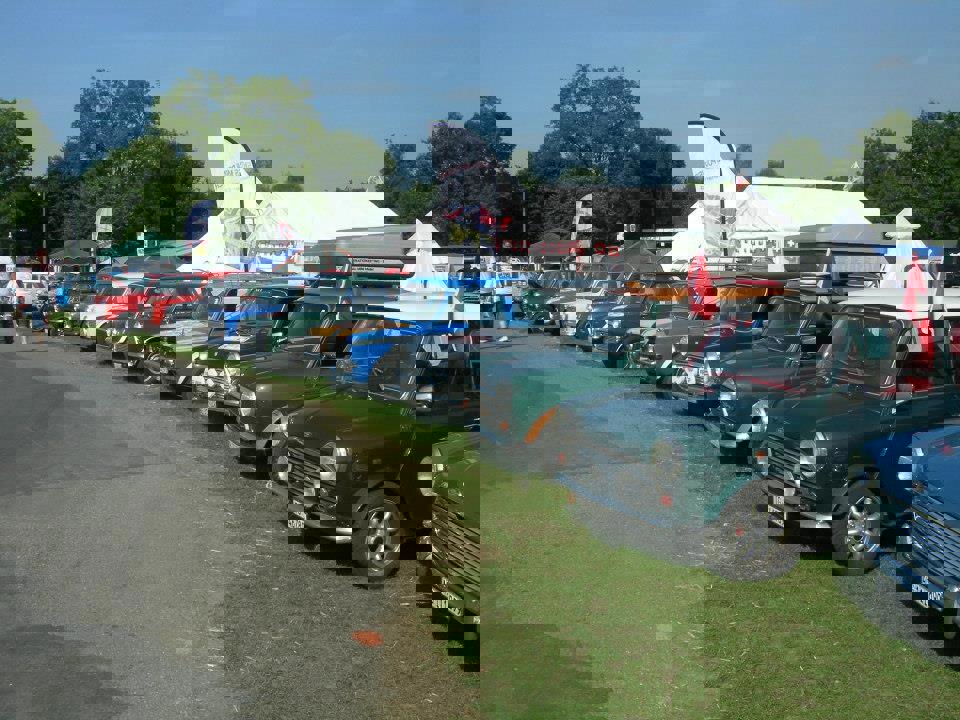 imm10.jpg