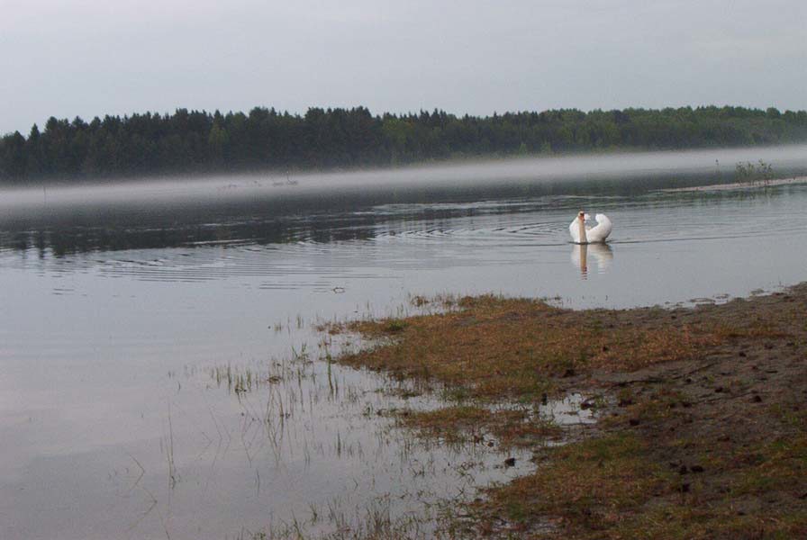 Nordisk minitreff 2003 - 39.jpg