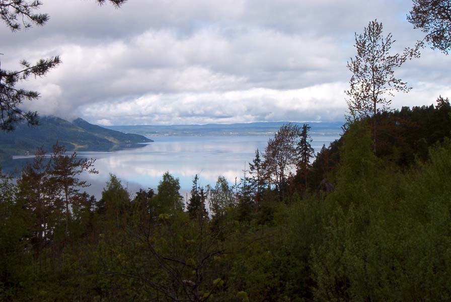 Nordisk minitreff 2003 - 48.jpg