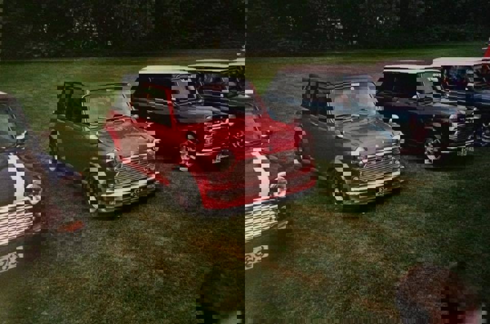 17309664_840249666115201_3831559733070581054_n.jpg