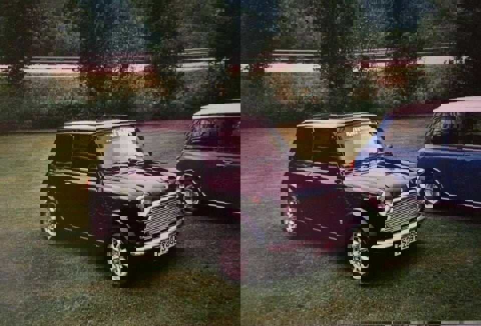 17426150_840249939448507_766876118693588128_n.jpg