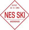 Artikkelbilde til artikkelen Nes ski- og Sykkelanlegg