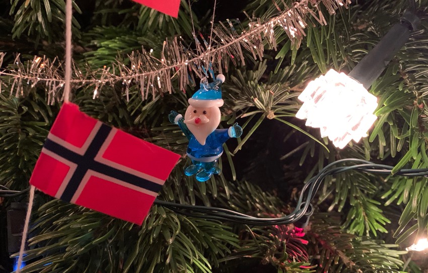 Innsamling av juletrær