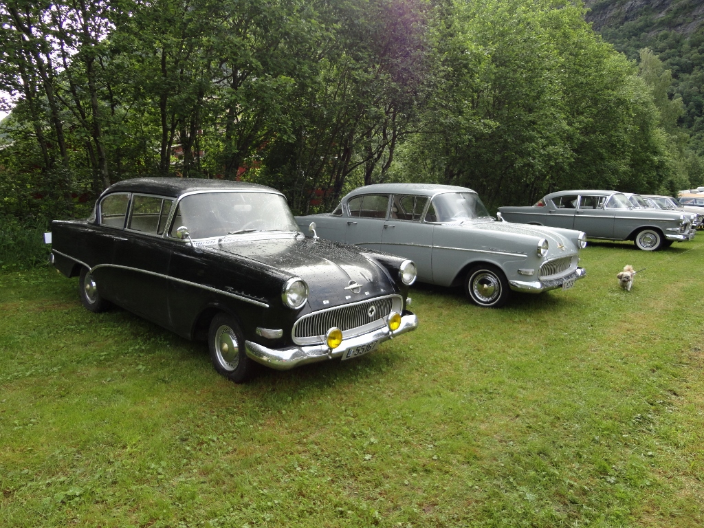 Treff_2011(14).jpg