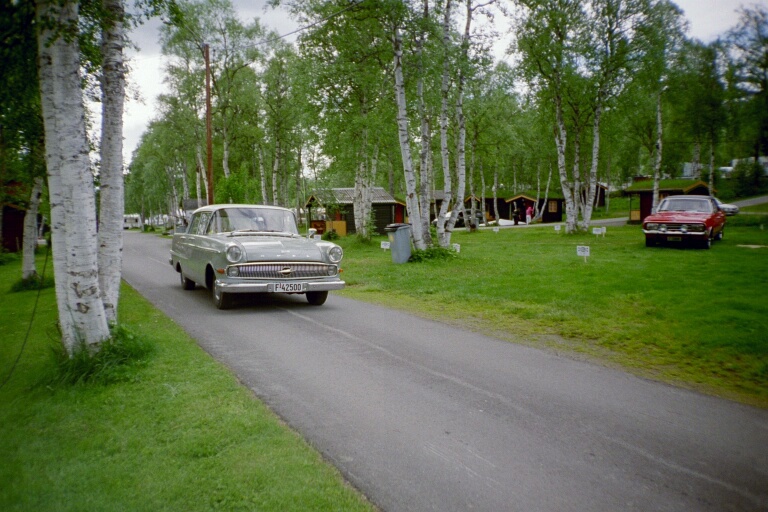 MEDIUM09.JPG
