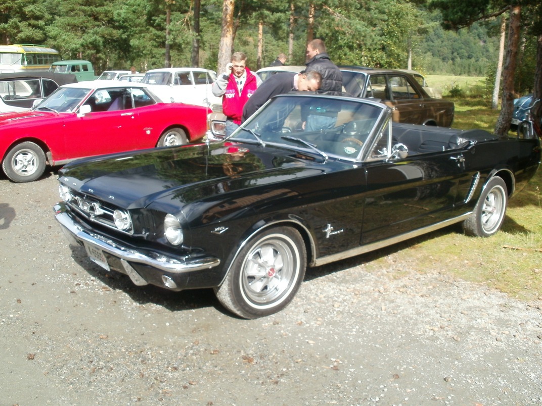 P8200041.JPG