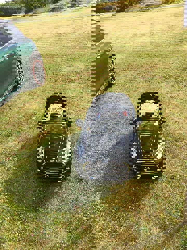 20375984_10154591406996782_5613770279333357653_n.j