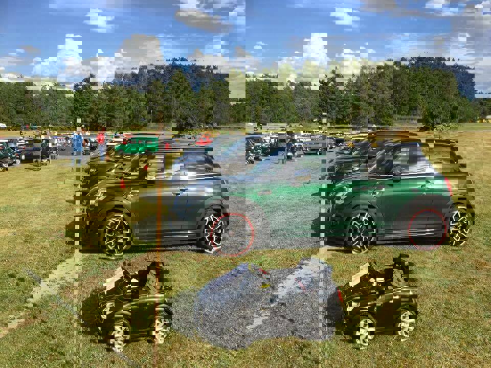 20476505_10154591408541782_4396753023222310661_n.j