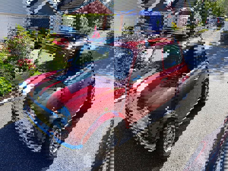 20663907_1947700892155260_1411073276688730595_n.jp