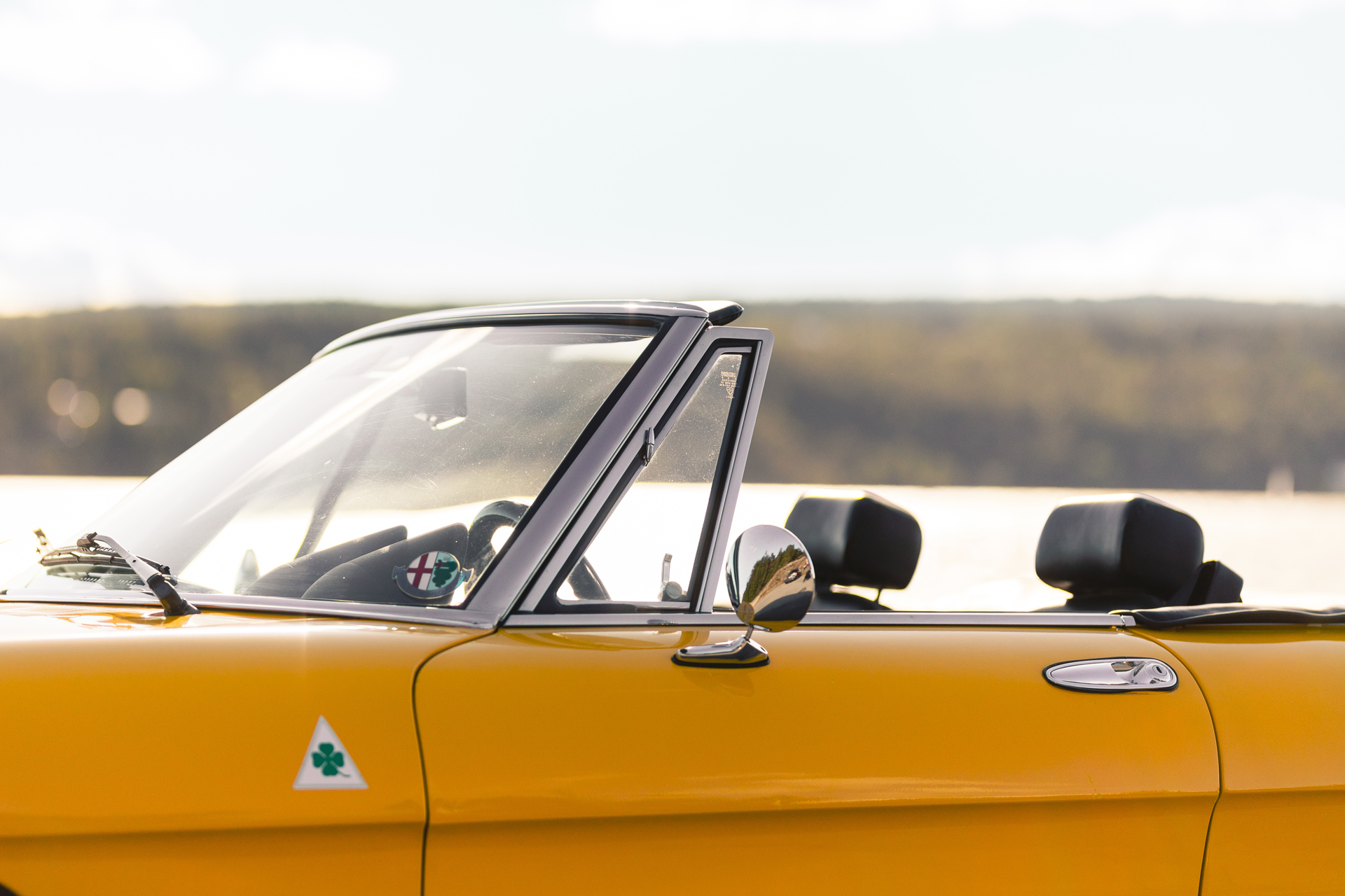 Alfa_Romeo_Spider_19.06.18-2.jpg