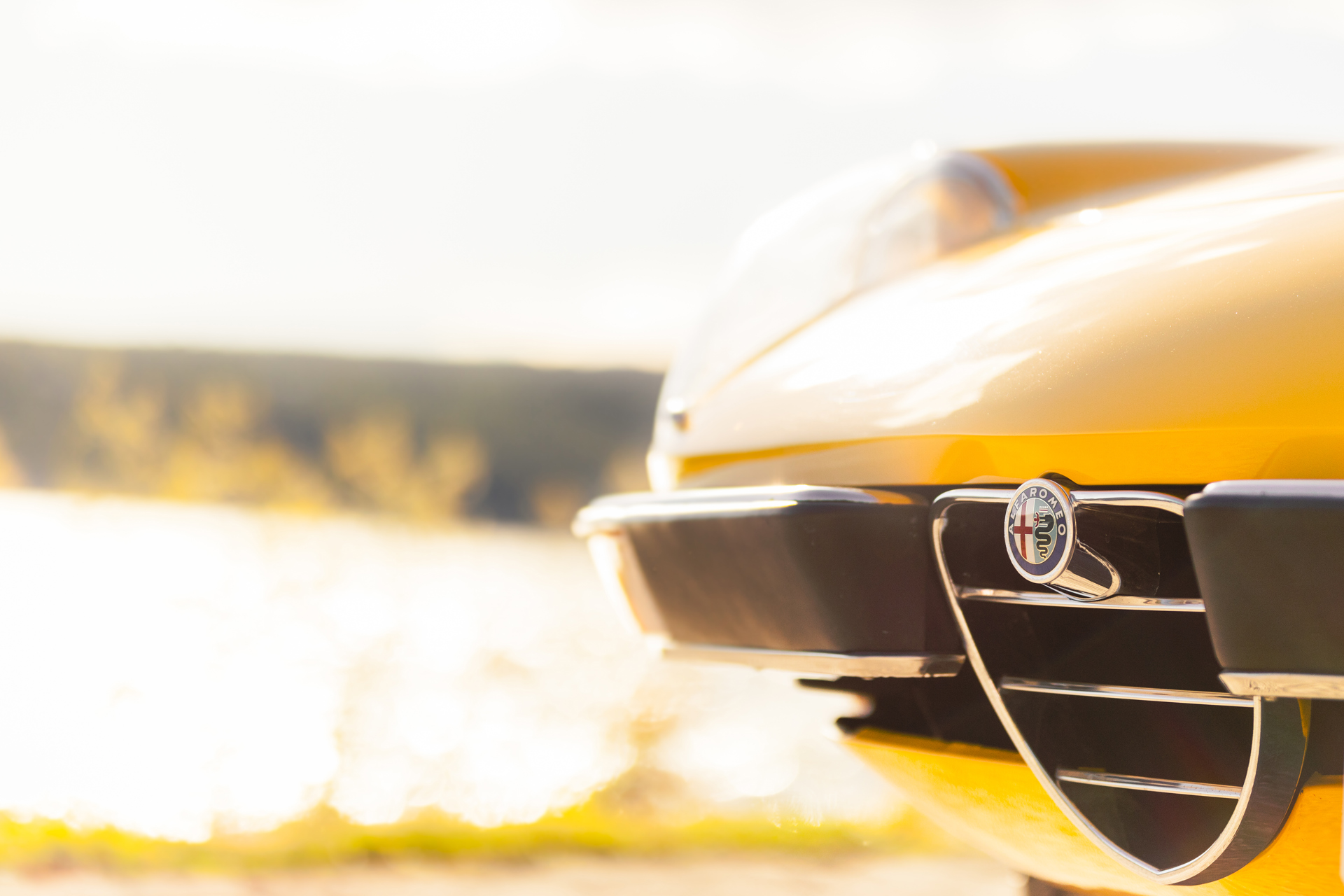 Alfa_Romeo_Spider_19.06.18-4.jpg