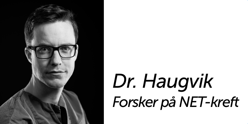 Dr. Haugvik er tildelt forskningsmidler