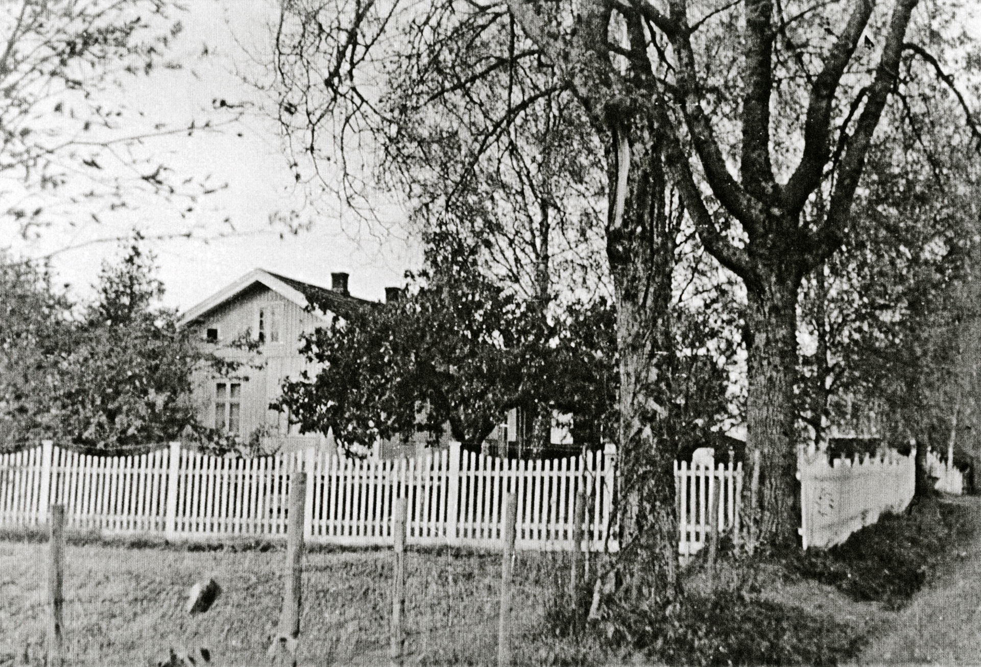 2021-03_Refsum-skole-ah1082.jpg