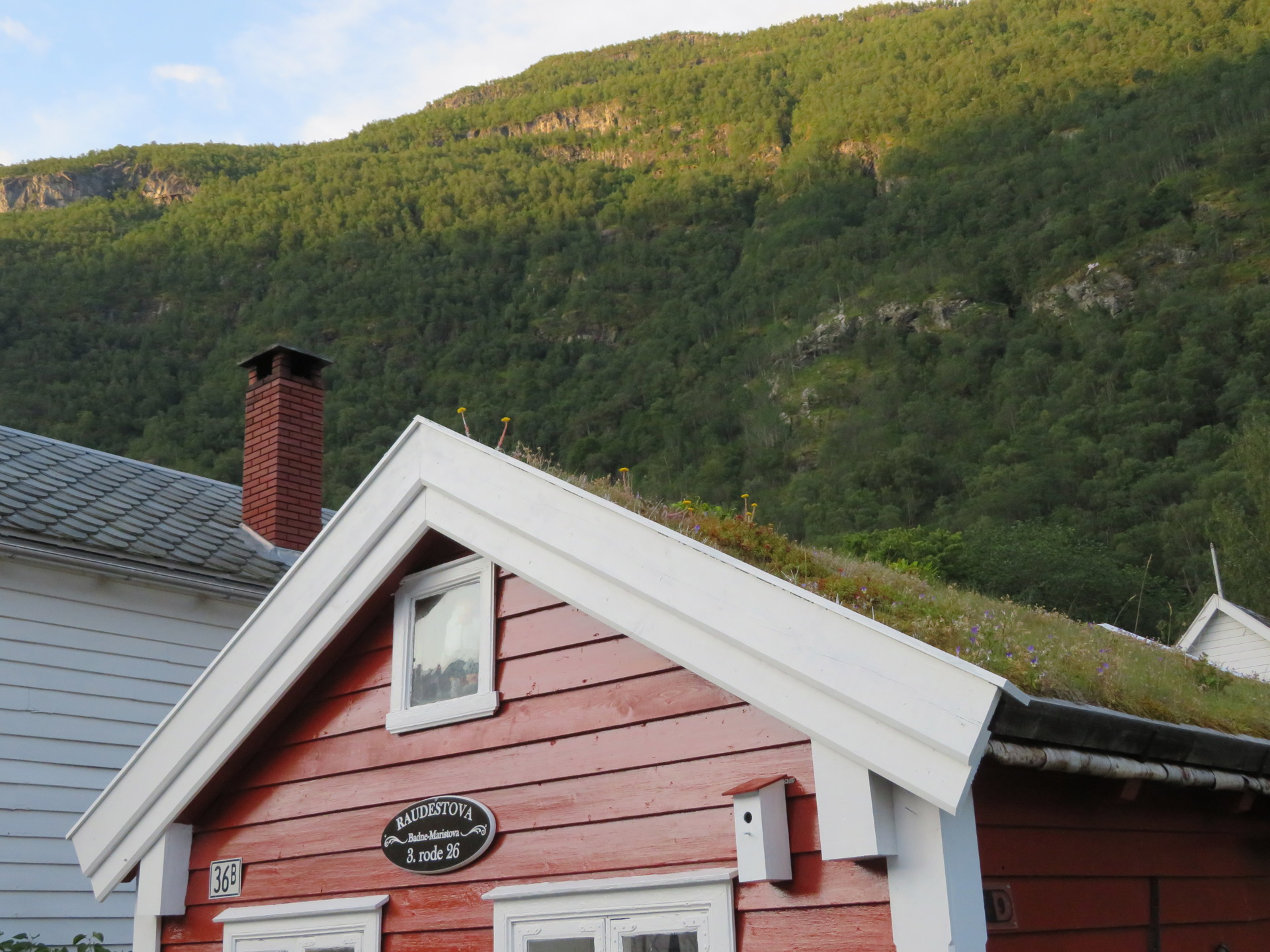 Øyragata i Lærdal (9).JPG