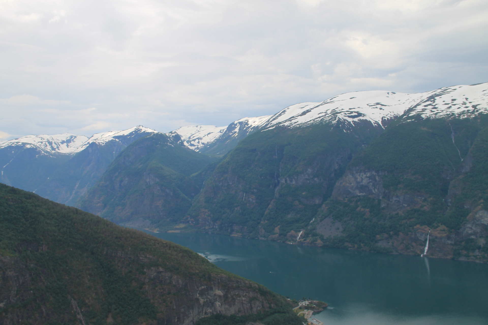 IMG_7417.JPG