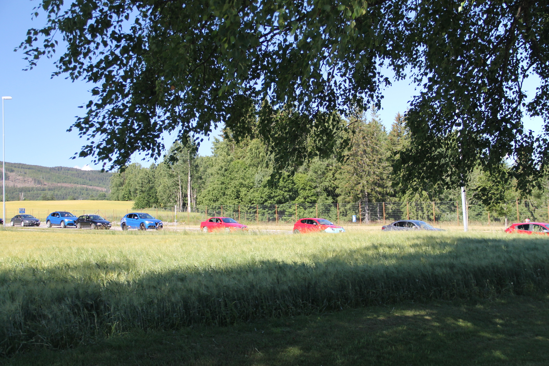 IMG_7547.JPG
