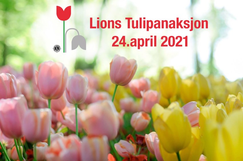 Lions Tulipanaksjon 2021