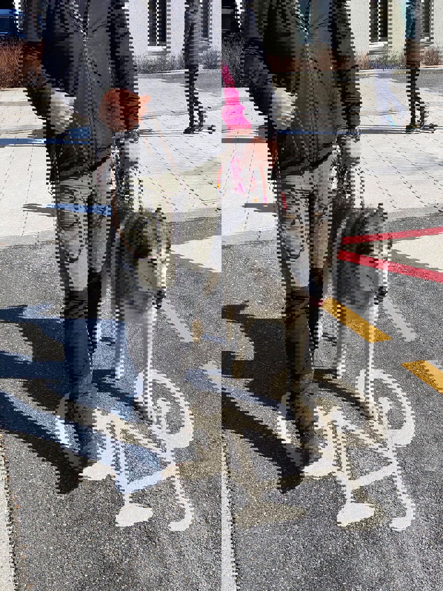 172184625_3940575449341984_4201642309709429466_n.j