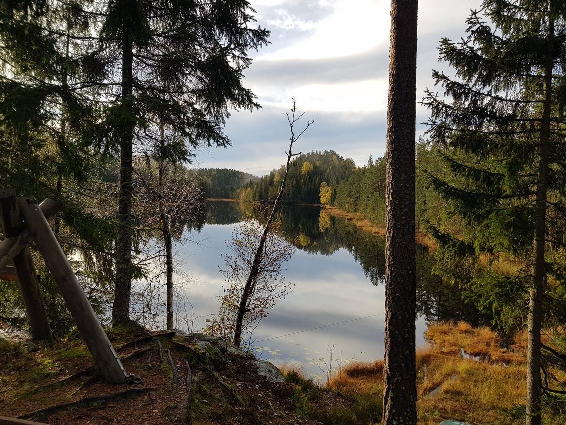 Svarstad_oktober_2020_Foto_Ole_Jacob_02.jpg