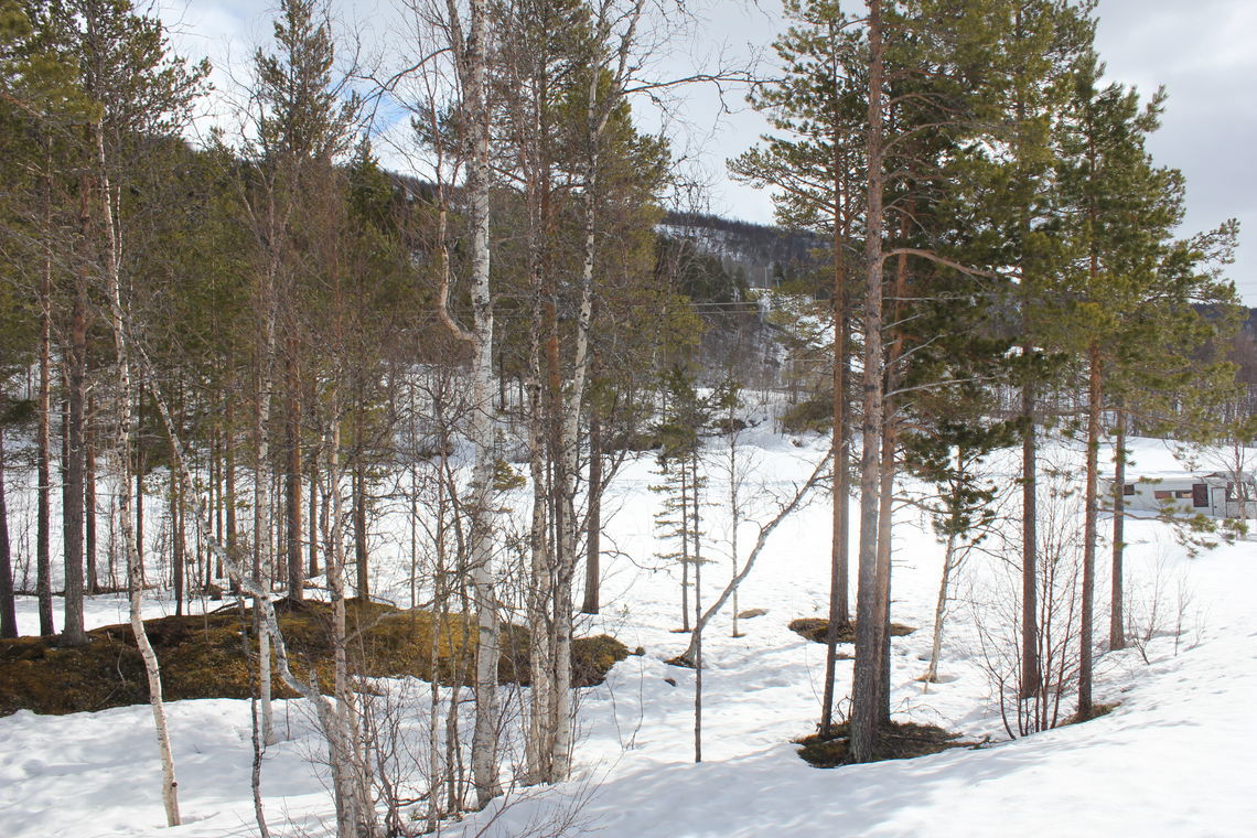 2020-05-09_10.40.17.jpg