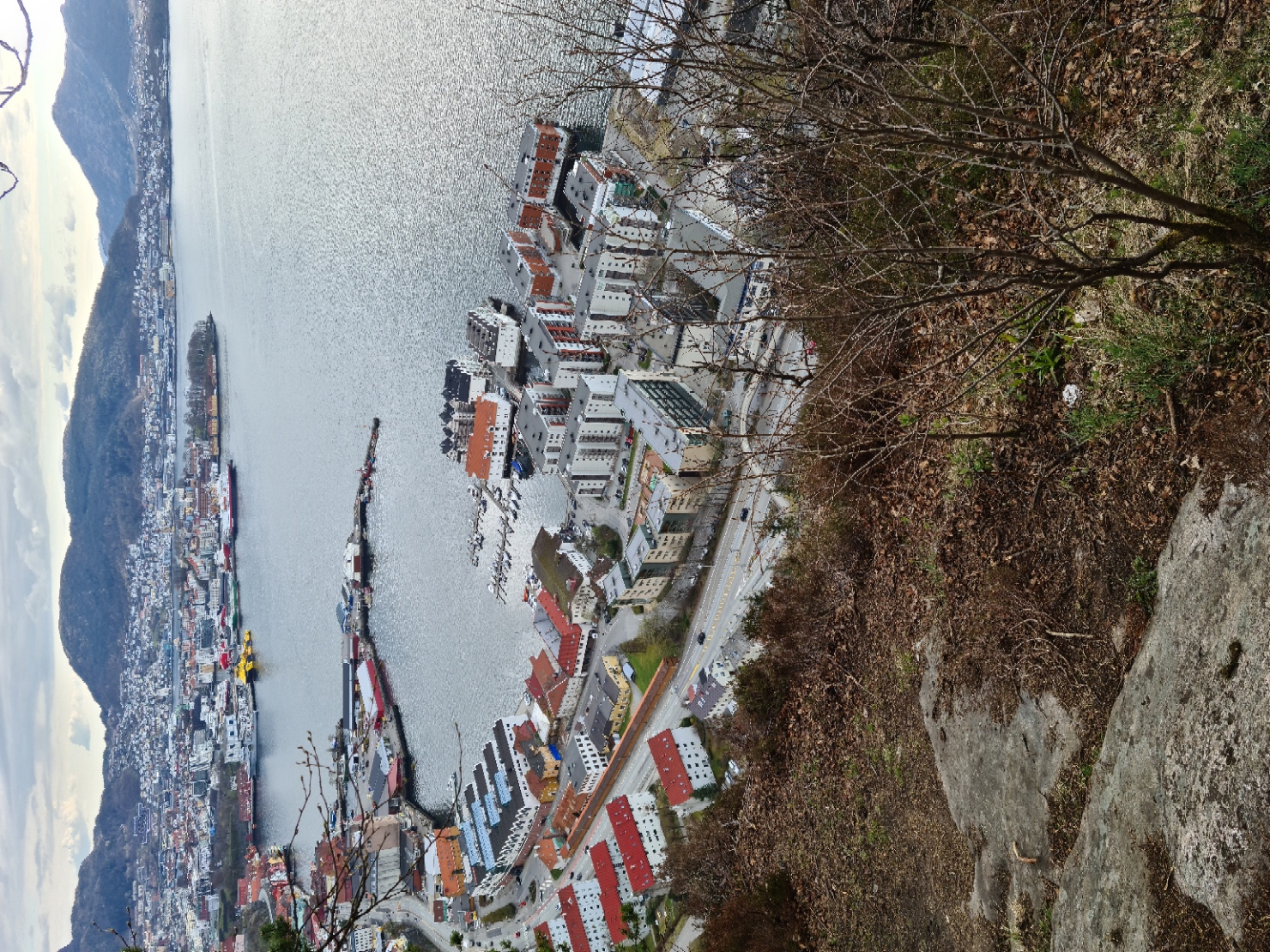 20210427_175502.jpg