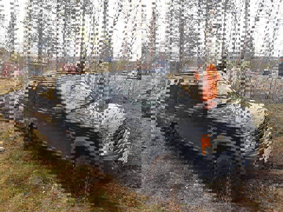 188322988_10165207835845364_6489037147393033675_n.