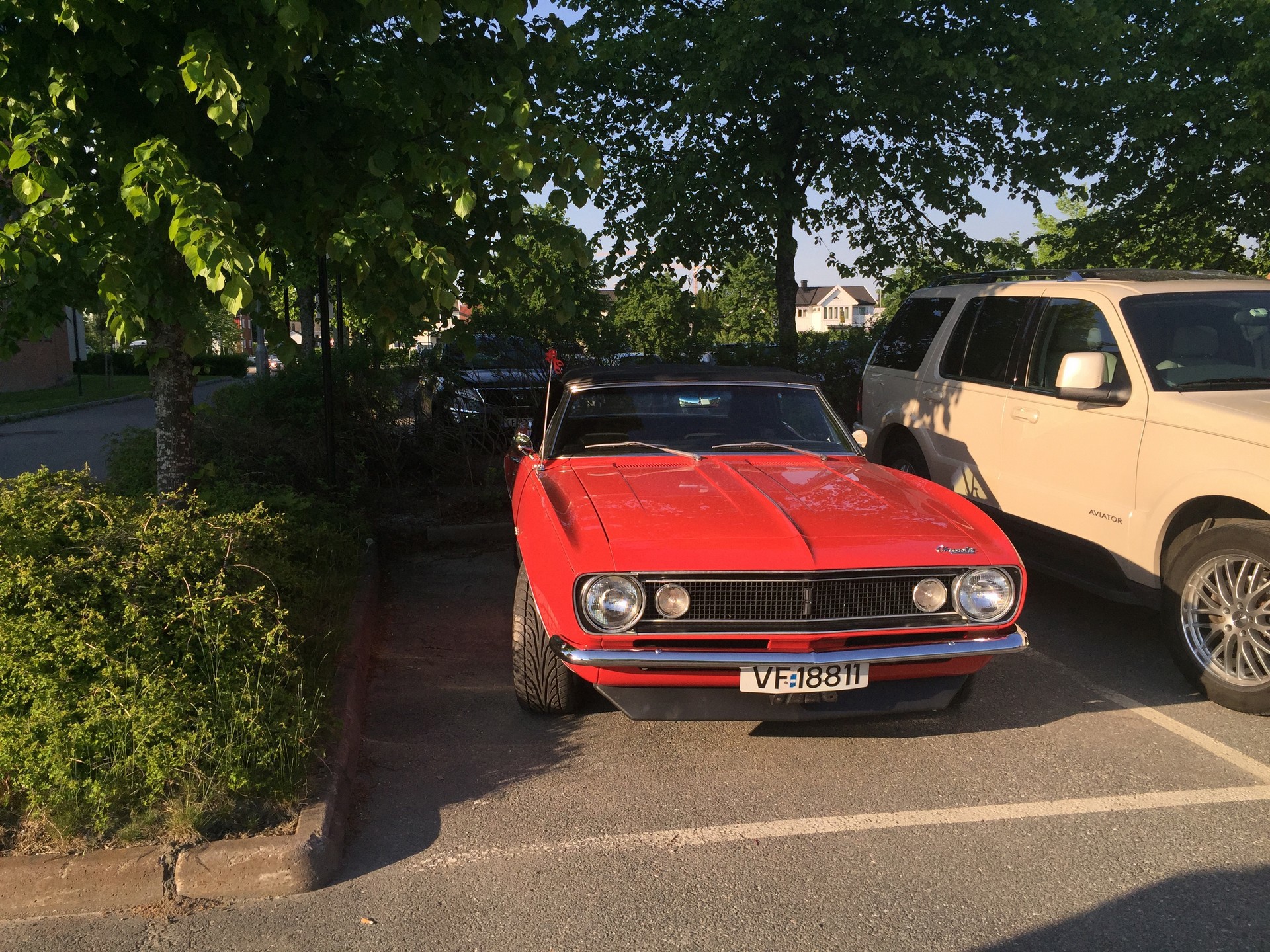 2016.06.01, 003.jpg